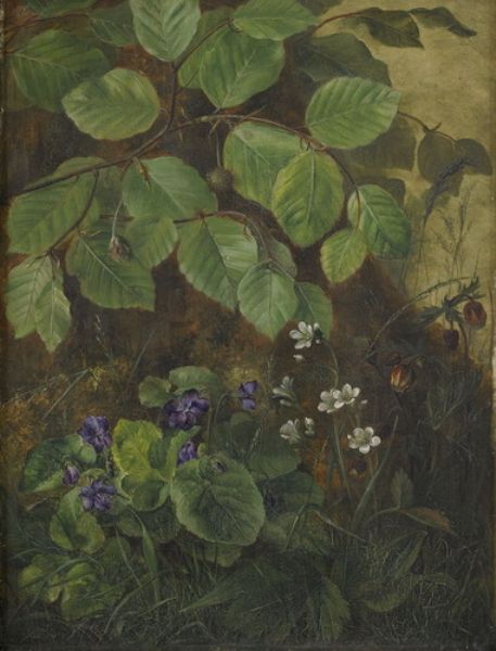 viol-och-hassel