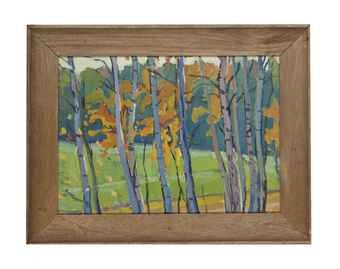silverbirch-in-the-autumn