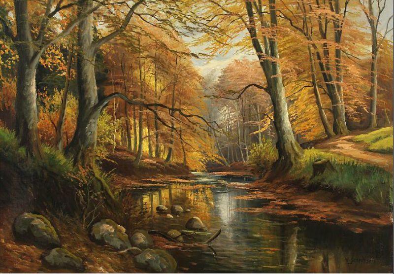 forest-scenery-by-a-stream