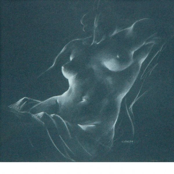 female-torso-study