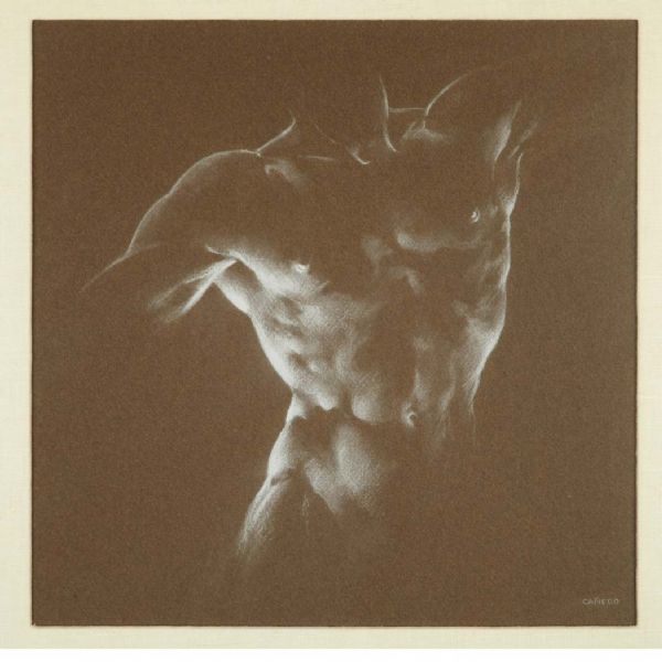 male-torso-study