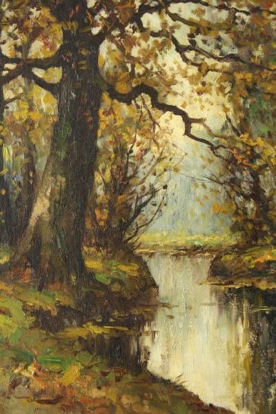 bomen-aan-het-water-in-het-haagse-bos
