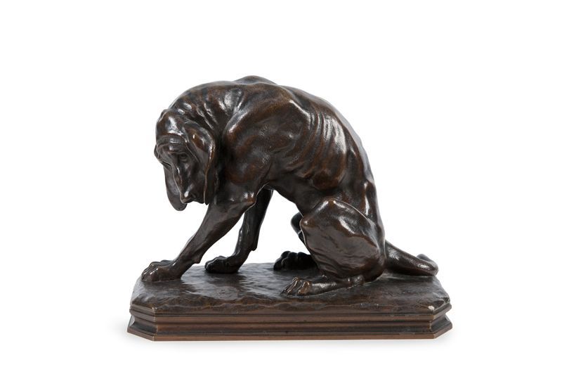 chien-de-chasse