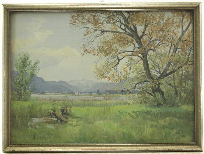 fruhling-am-chiemsee