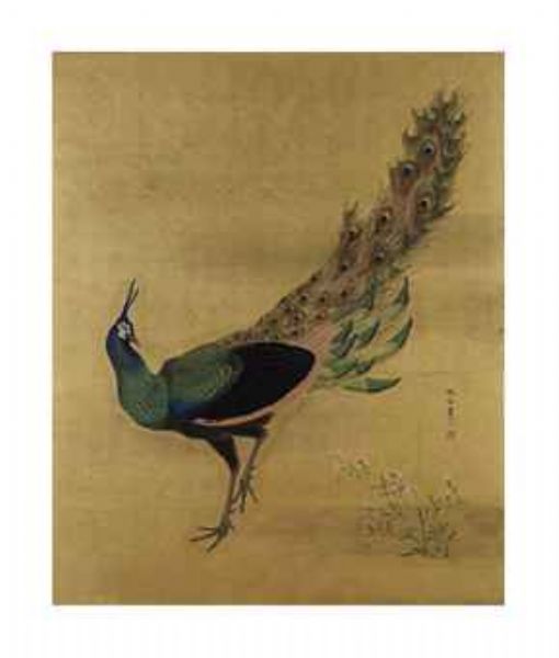peacock-and-pinks