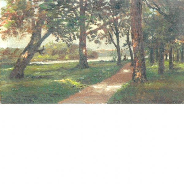 a-path-through-the-trees