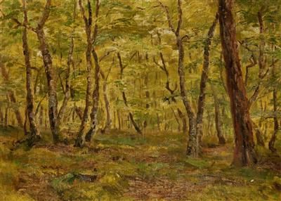 inside-a-forest