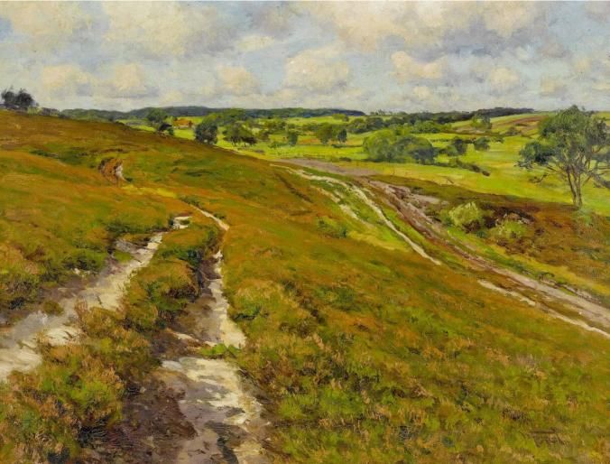 path-in-the-fields-in-a-landscape-of-meadows