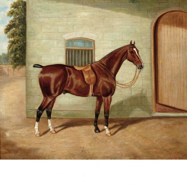 horse-outside-the-stable