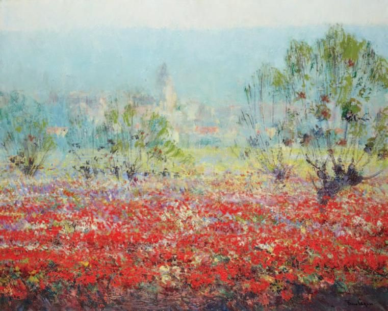 les-coquelicots