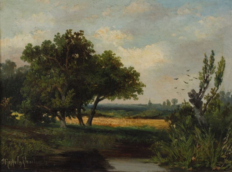 kraaien-boven-veld-een-kerk-in-het-verschiet