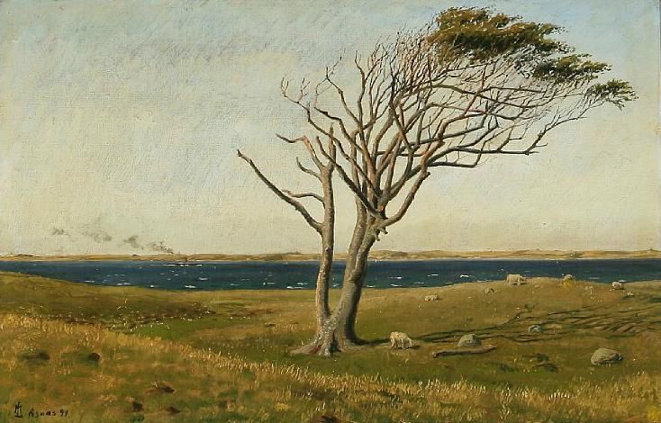 view-from-asnas-denmark