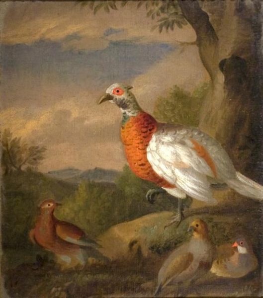 a-golden-pheasant-and-partridges-in-a-landscape