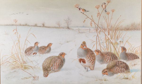 a-wintry-morning-partridges