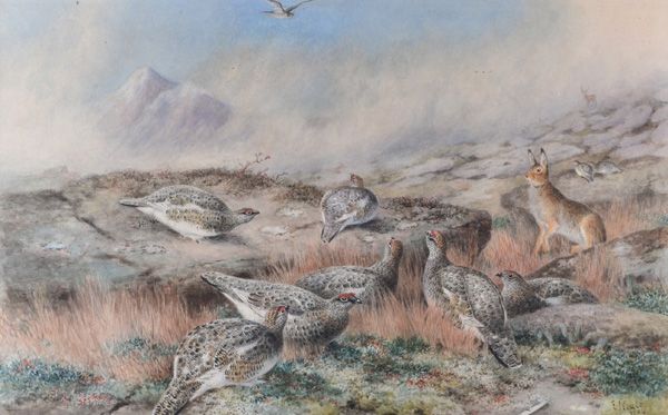 ptarmigan-a-hare-and-a-stag-on-a-moor