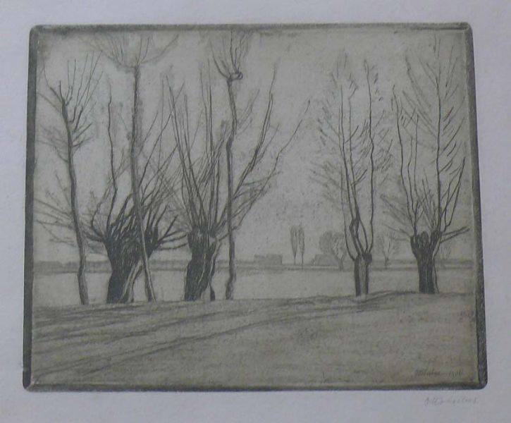 landschaft-am-oberrhein