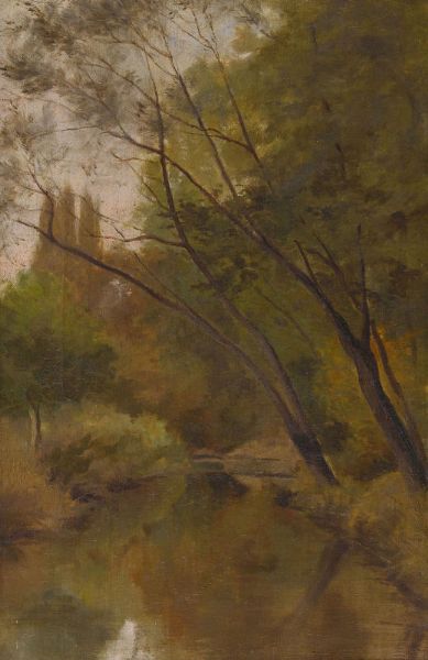 waldige-landschaft-mit-flusschen-bei-genf