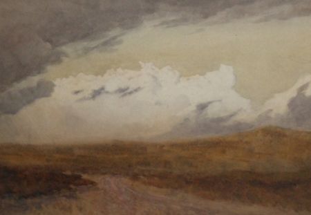 country-landscape