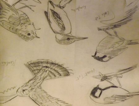 bird-vignettes