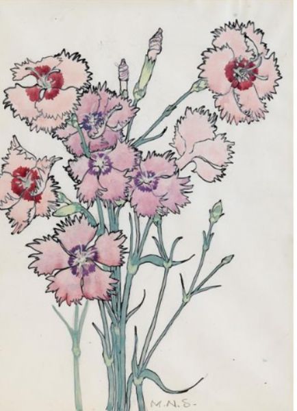 carnations