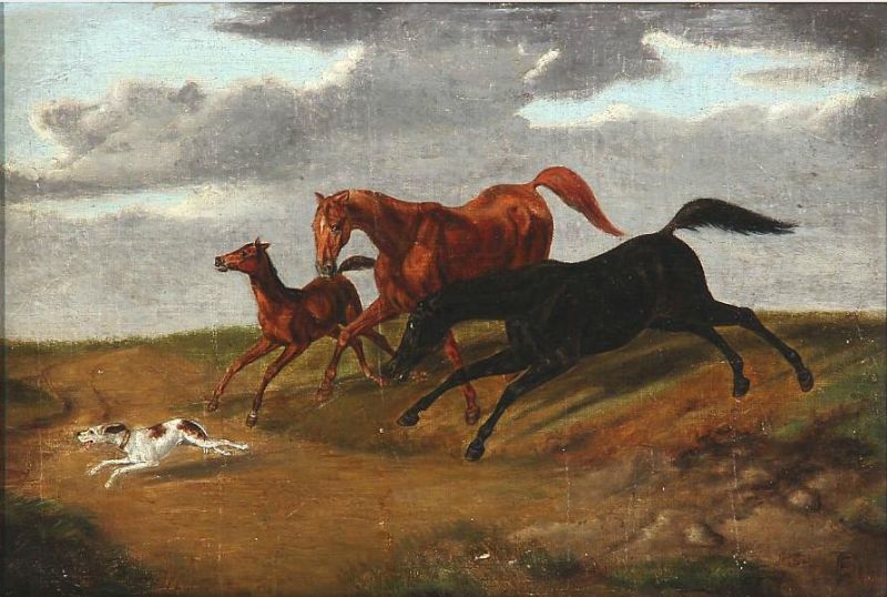 horses-and-a-dog-at-full-speed