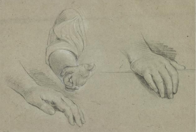 study-of-hands