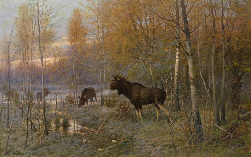 elk-in-the-forest