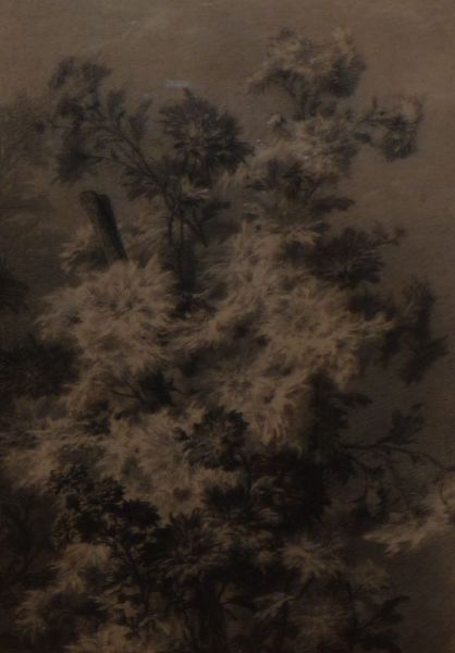 fleurs