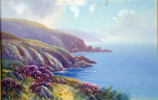 coastal-landscape