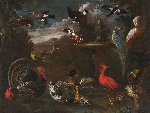 view-of-a-garden-with-birds