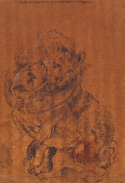 two-dogs