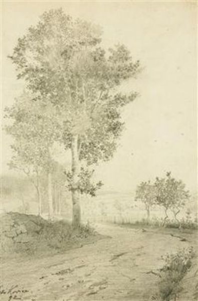 trees-by-the-road