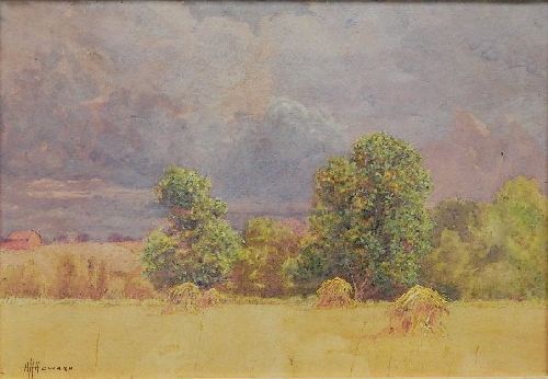 wheat-fields