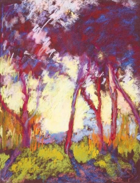 bomen-in-spaans-landschap-bij-pals-catalunya