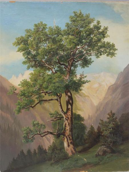 landschaftsstudie-mit-einem-baum-bergahorn