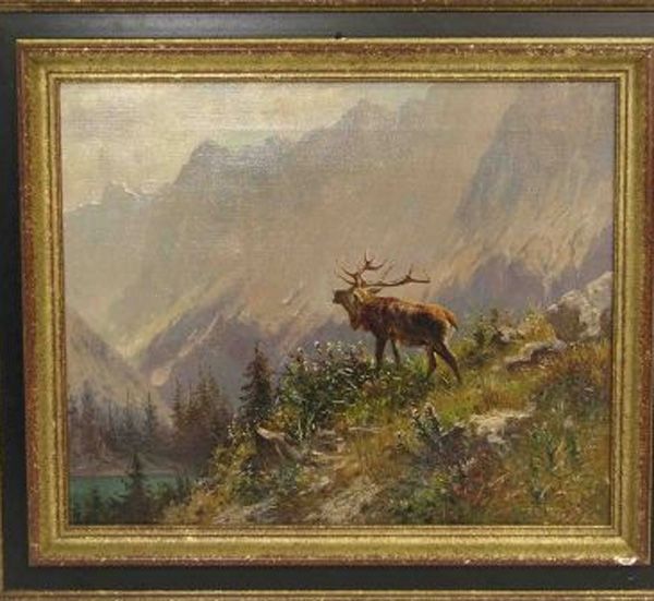 rohrender-hirsch
