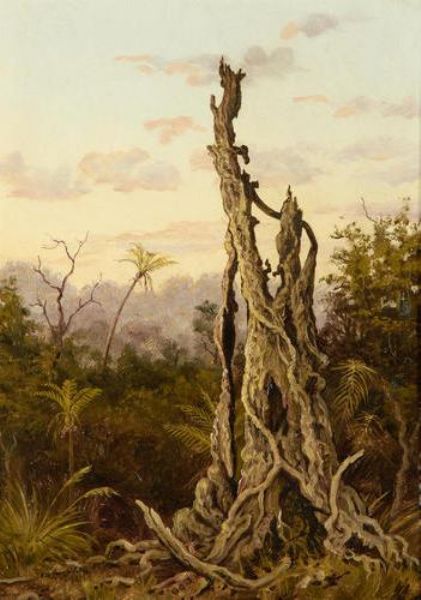 rata-tree-new-zealand