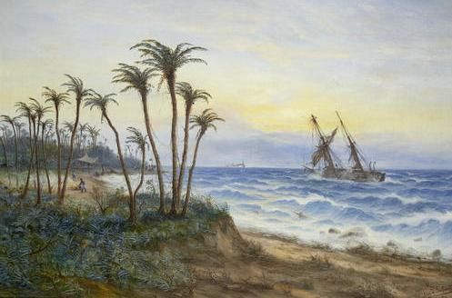 an-african-coastal-scene