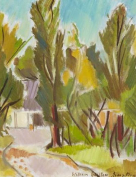 home-within-tall-trees