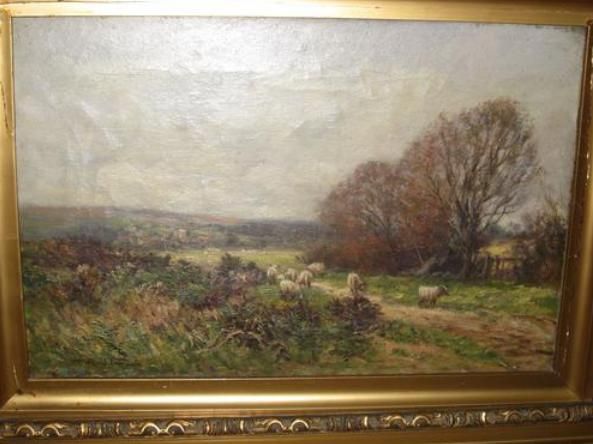 path-through-the-fields