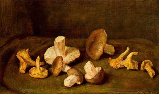 still-life-with-mushrooms