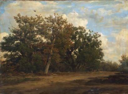 chemin-en-sous-bois-dans-la-foret-de-fontainebleau