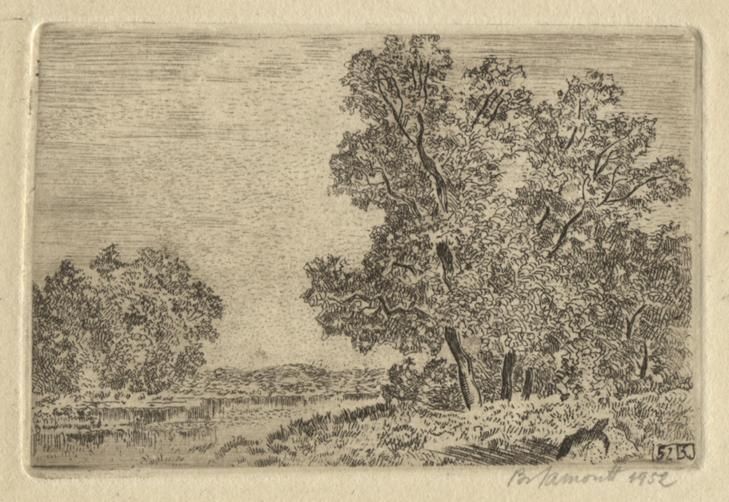 drzewa-nad-stawem