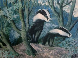 badgers-emerging-from-a-sett
