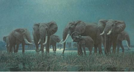 elephants-at-the-watering-hole