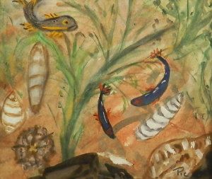 study-of-fish