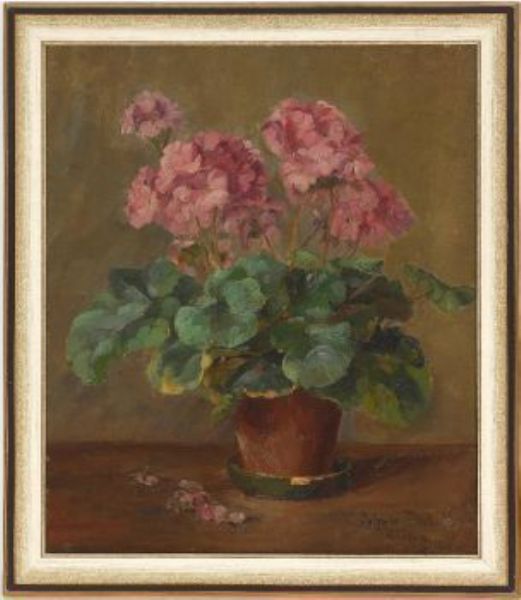 geranien-im-blumentopf