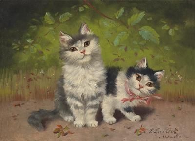 kittens