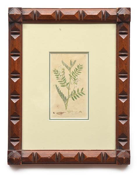 botanical-print