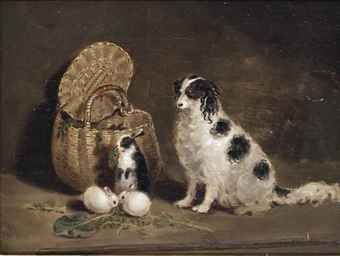 companions